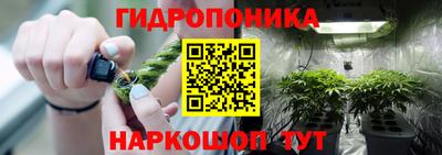 mdpv Новоалександровск