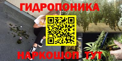 гидра Назарово