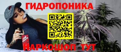 гидра Назарово