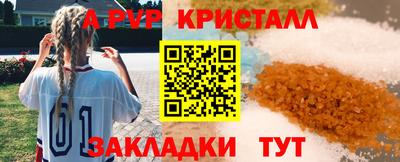 гидра Надым