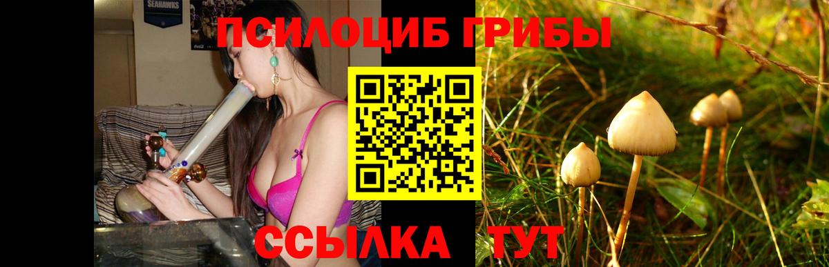 Псилоцибиновые грибы мухоморы Елизово